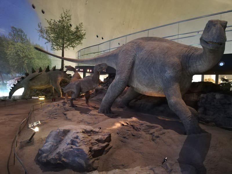 シュノサウルス