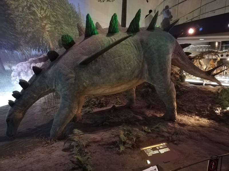 トゥオジャンゴサウルス