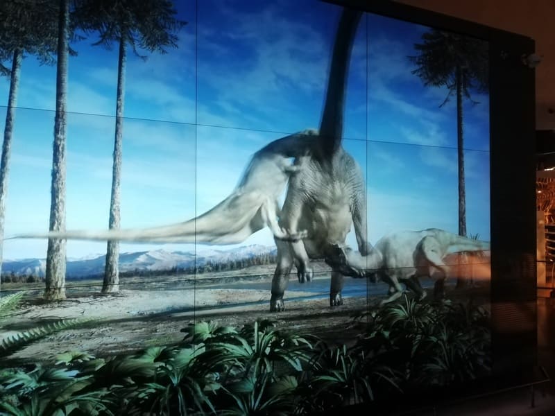 ダイノシアター右画面